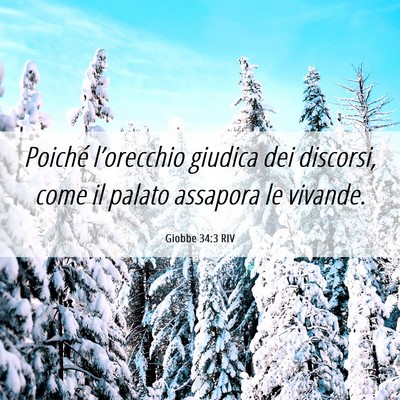 Picture 06 - Giobbe 34:3 RIV - Poiché l’orecchio giudica dei discorsi, come - Bible Verse Picture