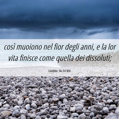 Picture 06 - Giobbe 36:14 RIV - così muoiono nel fior degli anni, e la lor vita - Bible Verse Picture