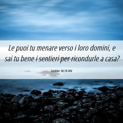 Picture 06 - Giobbe 38:20 RIV - Le puoi tu menare verso i loro domini, e sai tu - Bible Verse Picture