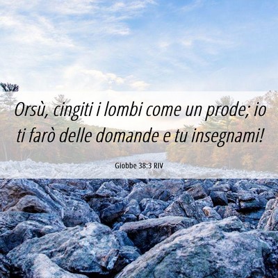 Picture 06 - Giobbe 38:3 RIV - Orsù, cingiti i lombi come un prode; io ti farò - Bible Verse Picture