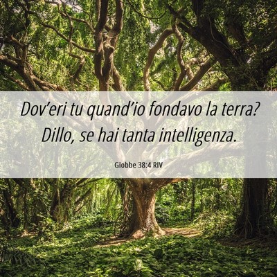 Picture 06 - Giobbe 38:4 RIV - Dov’eri tu quand’io fondavo la terra? Dillo, - Bible Verse Picture