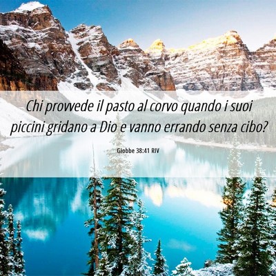 Picture 06 - Giobbe 38:41 RIV - Chi provvede il pasto al corvo quando i suoi - Bible Verse Picture