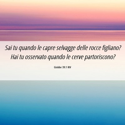Picture 06 - Giobbe 39:1 RIV - Sai tu quando le capre selvagge delle rocce - Bible Verse Picture