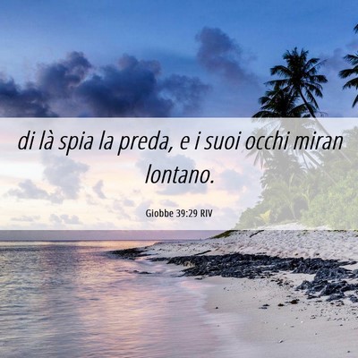 Picture 06 - Giobbe 39:29 RIV - di là spia la preda, e i suoi occhi miran - Bible Verse Picture