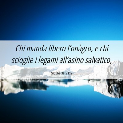 Picture 06 - Giobbe 39:5 RIV - Chi manda libero l’onàgro, e chi scioglie i - Bible Verse Picture