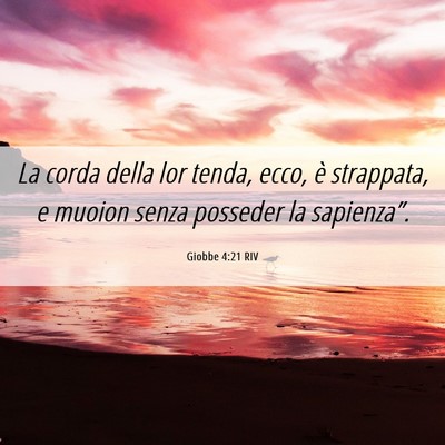 Picture 06 - Giobbe 4:21 RIV - La corda della lor tenda, ecco, è strappata, e - Bible Verse Picture