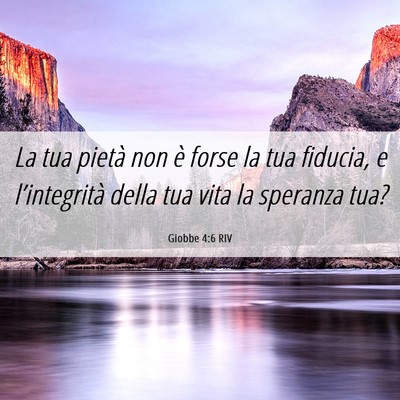 Picture 06 - Giobbe 4:6 RIV - La tua pietà non è forse la tua fiducia, e - Bible Verse Picture