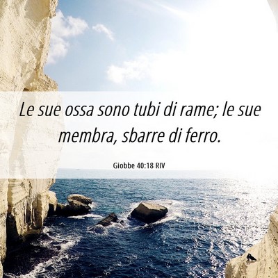 Picture 06 - Giobbe 40:18 RIV - Le sue ossa sono tubi di rame; le sue membra, - Bible Verse Picture