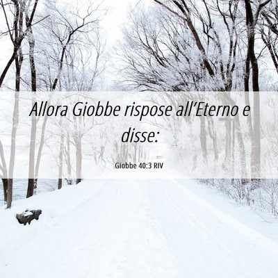 Picture 06 - Giobbe 40:3 RIV - Allora Giobbe rispose all’Eterno e - Bible Verse Picture