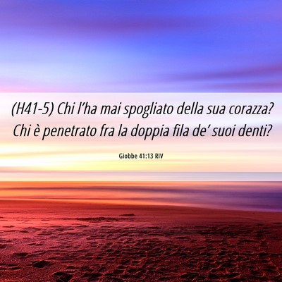 Picture 06 - Giobbe 41:13 RIV - (H41-5) Chi l’ha mai spogliato della sua - Bible Verse Picture