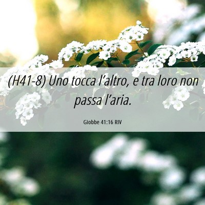 Picture 06 - Giobbe 41:16 RIV - (H41-8) Uno tocca l’altro, e tra loro non passa - Bible Verse Picture