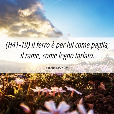 Picture 06 - Giobbe 41:27 RIV - (H41-19) Il ferro è per lui come paglia; il - Bible Verse Picture