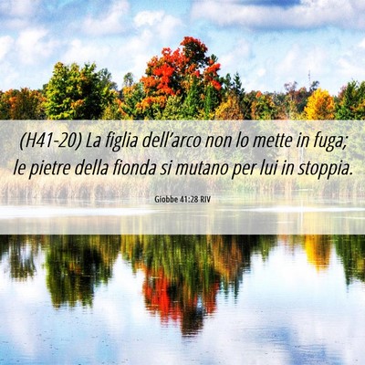 Picture 06 - Giobbe 41:28 RIV - (H41-20) La figlia dell’arco non lo mette in - Bible Verse Picture