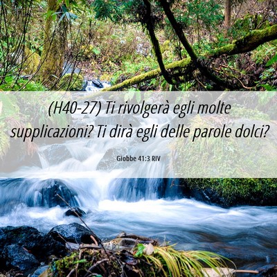 Picture 06 - Giobbe 41:3 RIV - (H40-27) Ti rivolgerà egli molte supplicazioni? - Bible Verse Picture