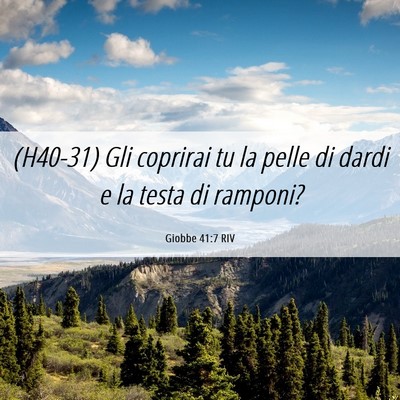 Picture 06 - Giobbe 41:7 RIV - (H40-31) Gli coprirai tu la pelle di dardi e la - Bible Verse Picture