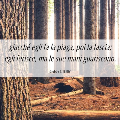 Picture 06 - Giobbe 5:18 RIV - giacché egli fa la piaga, poi la fascia; egli - Bible Verse Picture