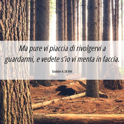 Picture 06 - Giobbe 6:28 RIV - Ma pure vi piaccia di rivolgervi a guardarmi, e - Bible Verse Picture