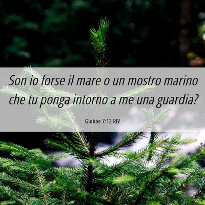 Picture 06 - Giobbe 7:12 RIV - Son io forse il mare o un mostro marino che tu - Bible Verse Picture