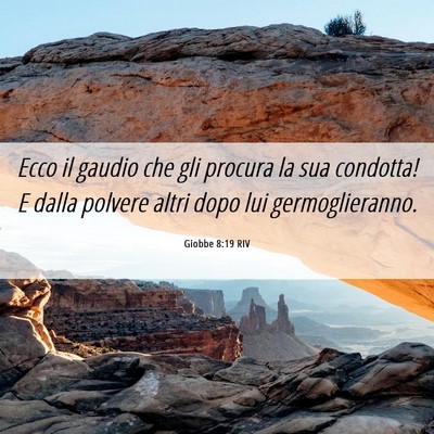 Picture 06 - Giobbe 8:19 RIV - Ecco il gaudio che gli procura la sua condotta! E - Bible Verse Picture