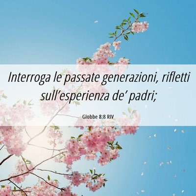 Picture 06 - Giobbe 8:8 RIV - Interroga le passate generazioni, rifletti - Bible Verse Picture
