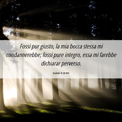 Picture 06 - Giobbe 9:20 RIV - Fossi pur giusto, la mia bocca stessa mi - Bible Verse Picture
