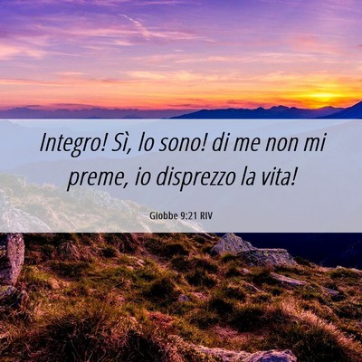 Picture 06 - Giobbe 9:21 RIV - Integro! Sì, lo sono! di me non mi preme, io - Bible Verse Picture
