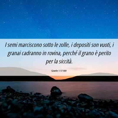 Picture 06 - Gioele 1:17 RIV - I semi marciscono sotto le zolle, i depositi son - Bible Verse Picture