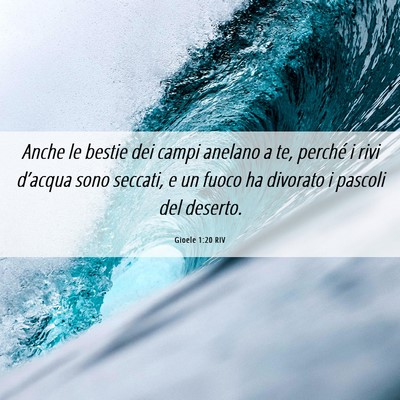 Picture 06 - Gioele 1:20 RIV - Anche le bestie dei campi anelano a te, perché i - Bible Verse Picture