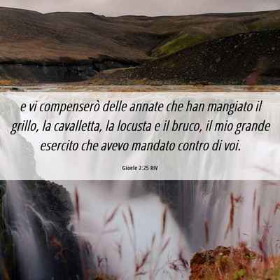 Picture 06 - Gioele 2:25 RIV - e vi compenserò delle annate che han mangiato il - Bible Verse Picture