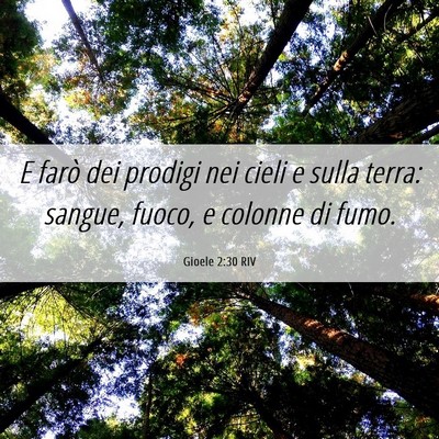 Picture 06 - Gioele 2:30 RIV - E farò dei prodigi nei cieli e sulla terra: - Bible Verse Picture