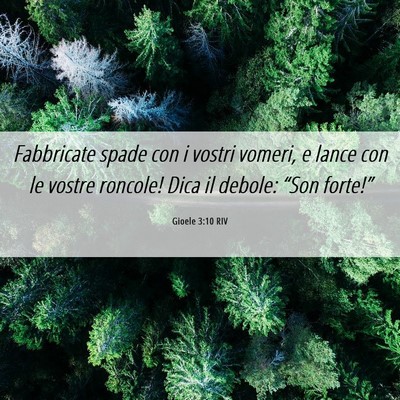 Picture 06 - Gioele 3:10 RIV - Fabbricate spade con i vostri vomeri, e lance con - Bible Verse Picture