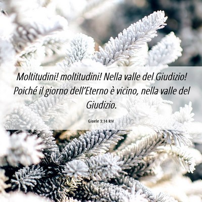 Picture 06 - Gioele 3:14 RIV - Moltitudini! moltitudini! Nella valle del - Bible Verse Picture