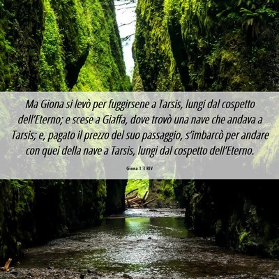 Picture 06 - Giona 1:3 RIV - Ma Giona si levò per fuggirsene a Tarsis, lungi - Bible Verse Picture
