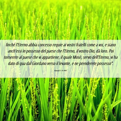 Picture 06 - Giosué 1:15 RIV - finché l’Eterno abbia concesso requie ai - Bible Verse Picture