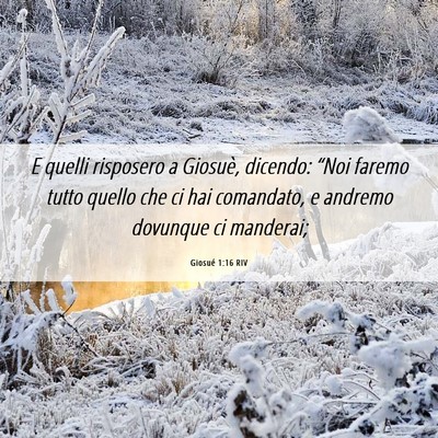 Picture 06 - Giosué 1:16 RIV - E quelli risposero a Giosuè, dicendo: “Noi - Bible Verse Picture