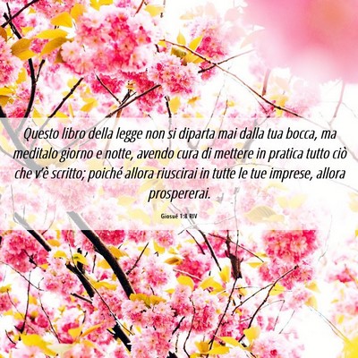 Picture 06 - Giosué 1:8 RIV - Questo libro della legge non si diparta mai dalla - Bible Verse Picture
