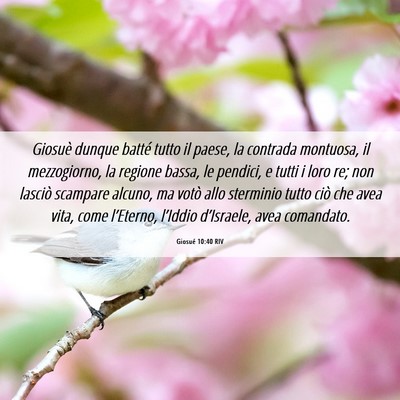 Picture 06 - Giosué 10:40 RIV - Giosuè dunque batté tutto il paese, la contrada - Bible Verse Picture