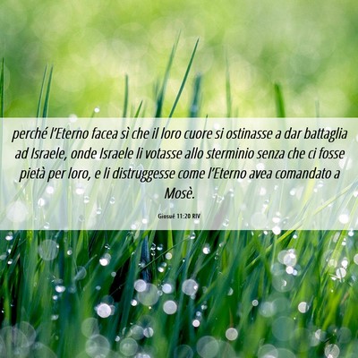 Picture 06 - Giosué 11:20 RIV - perché l’Eterno facea sì che il loro cuore si - Bible Verse Picture