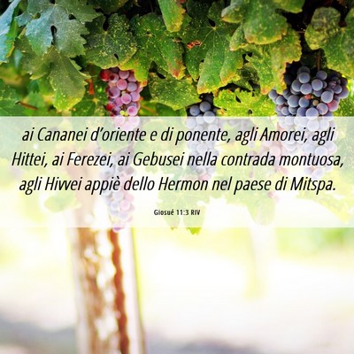 Picture 06 - Giosué 11:3 RIV - ai Cananei d’oriente e di ponente, agli Amorei, - Bible Verse Picture