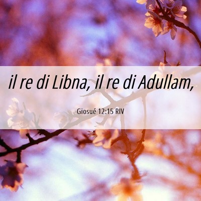 Picture 06 - Giosué 12:15 RIV - il re di Libna, il re di - Bible Verse Picture