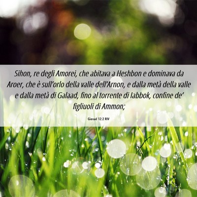 Picture 06 - Giosué 12:2 RIV - Sihon, re degli Amorei, che abitava a Heshbon e - Bible Verse Picture
