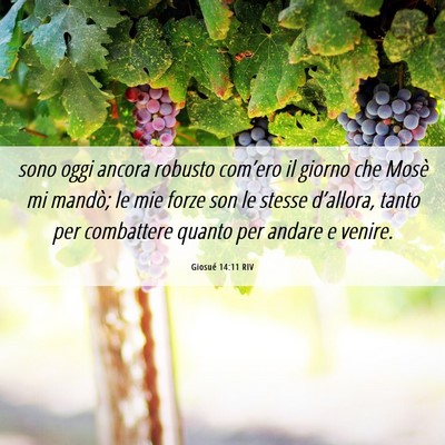 Picture 06 - Giosué 14:11 RIV - sono oggi ancora robusto com’ero il giorno che - Bible Verse Picture