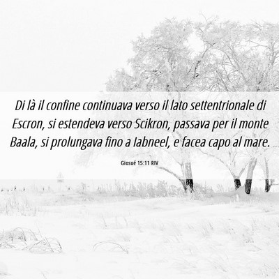 Picture 06 - Giosué 15:11 RIV - Di là il confine continuava verso il lato - Bible Verse Picture