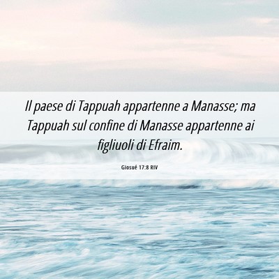 Picture 06 - Giosué 17:8 RIV - Il paese di Tappuah appartenne a Manasse; ma - Bible Verse Picture
