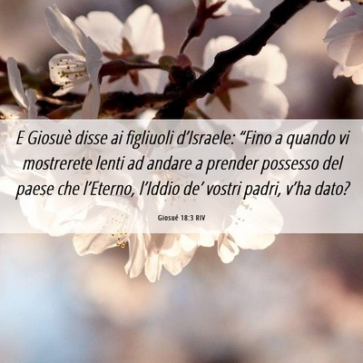 Picture 06 - Giosué 18:3 RIV - E Giosuè disse ai figliuoli d’Israele: “Fino - Bible Verse Picture