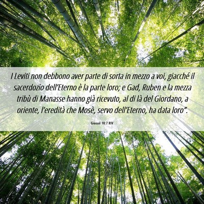 Picture 06 - Giosué 18:7 RIV - I Leviti non debbono aver parte di sorta in mezzo - Bible Verse Picture