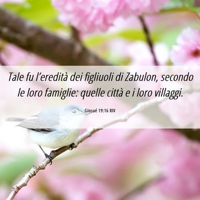 Picture 06 - Giosué 19:16 RIV - Tale fu l’eredità dei figliuoli di Zabulon, - Bible Verse Picture