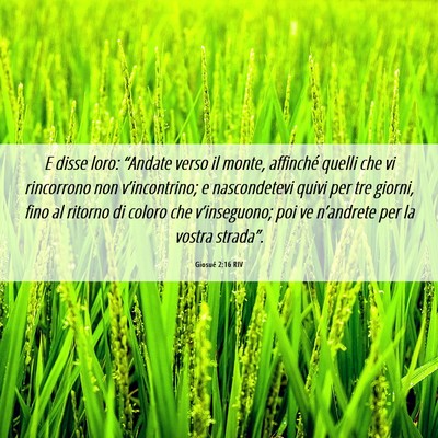 Picture 06 - Giosué 2:16 RIV - E disse loro: “Andate verso il monte, affinché - Bible Verse Picture