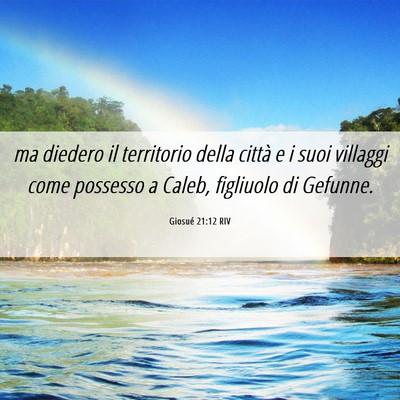 Picture 06 - Giosué 21:12 RIV - ma diedero il territorio della città e i suoi - Bible Verse Picture