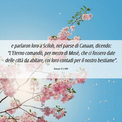 Picture 06 - Giosué 21:2 RIV - e parlaron loro a Sciloh, nel paese di Canaan, - Bible Verse Picture